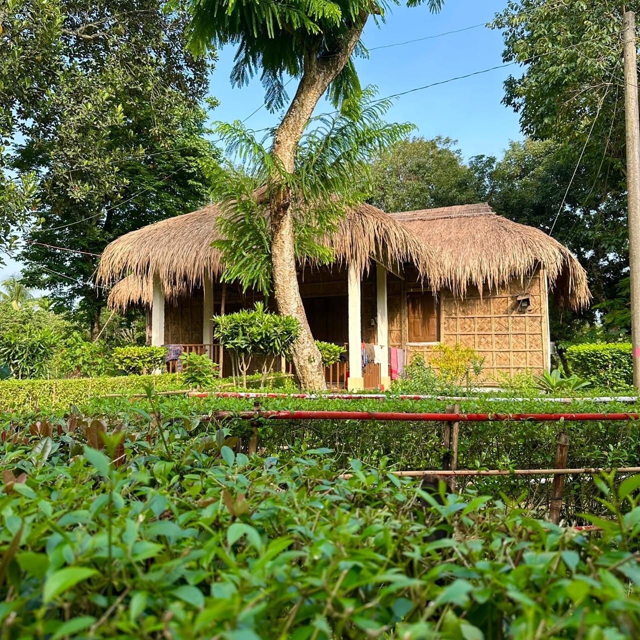 Litchibari Eco Resort story